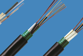 目前用于传输网建设的光纤主要有哪些？